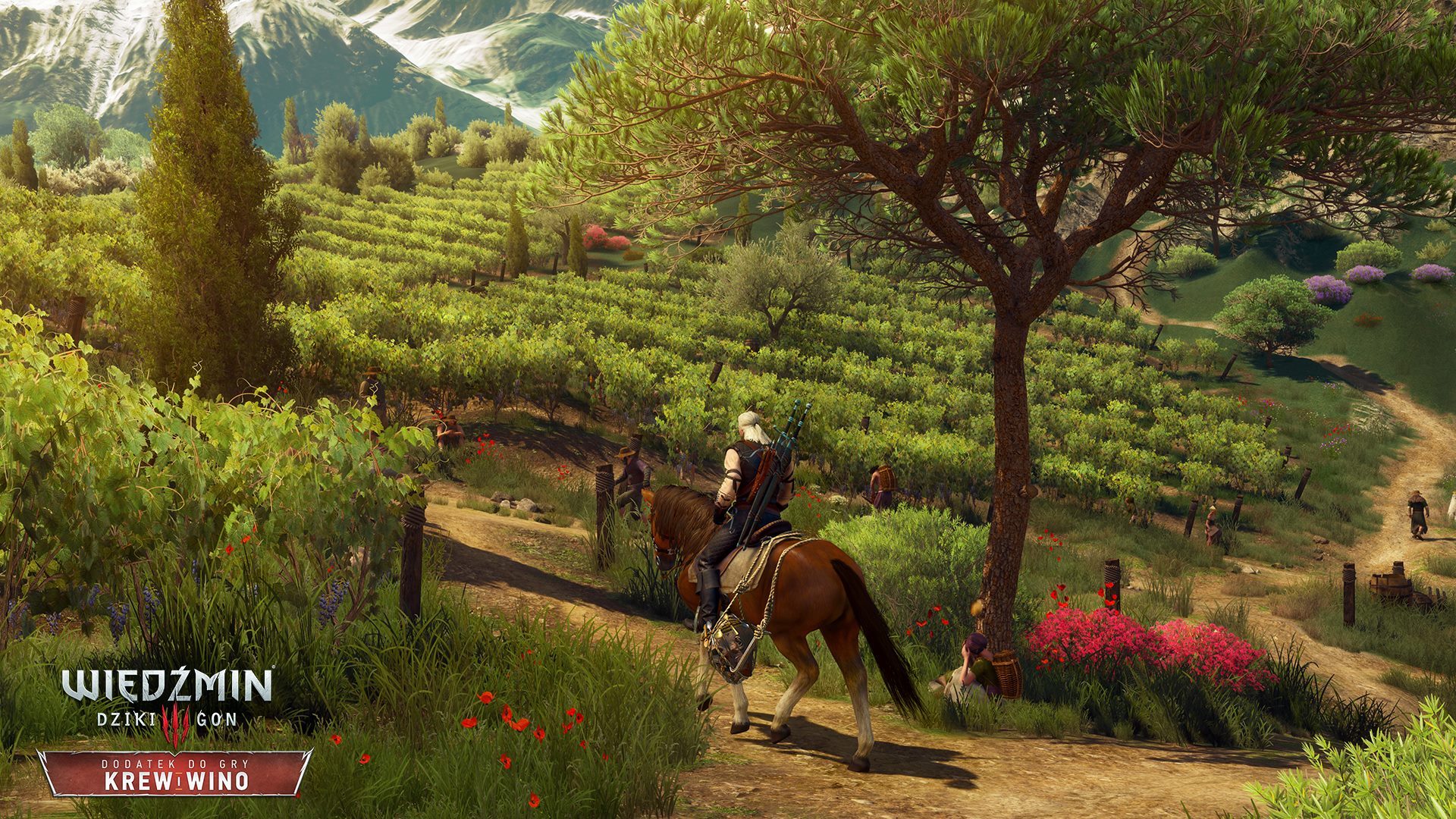 The Witcher 3: Blood and Wine Toussaint Map vs Ard Skellig ...